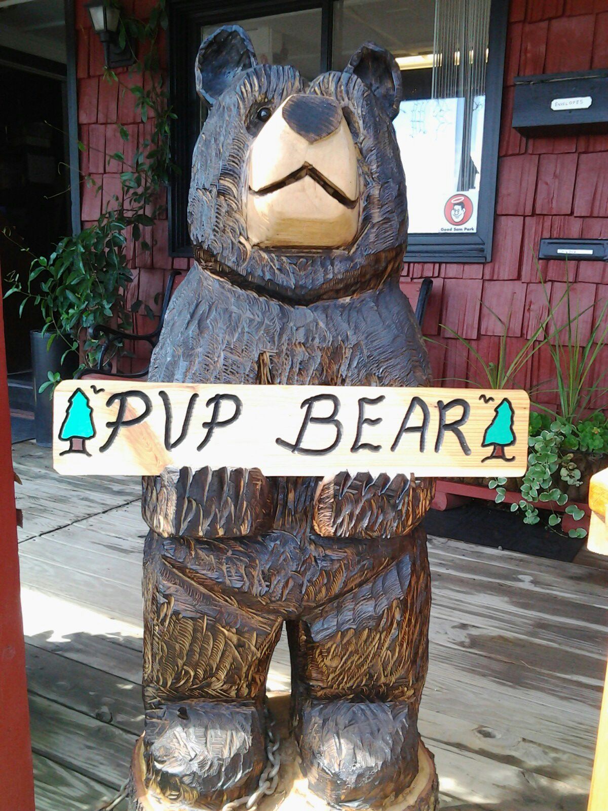 pvp bear.jpg